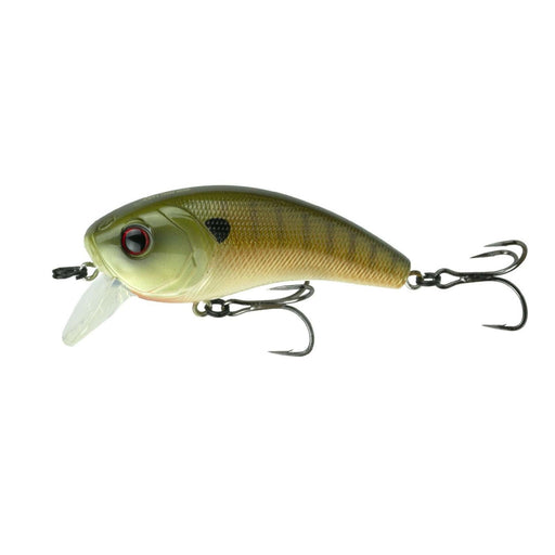 6th Sense Movement 80X- Baby Bluegill