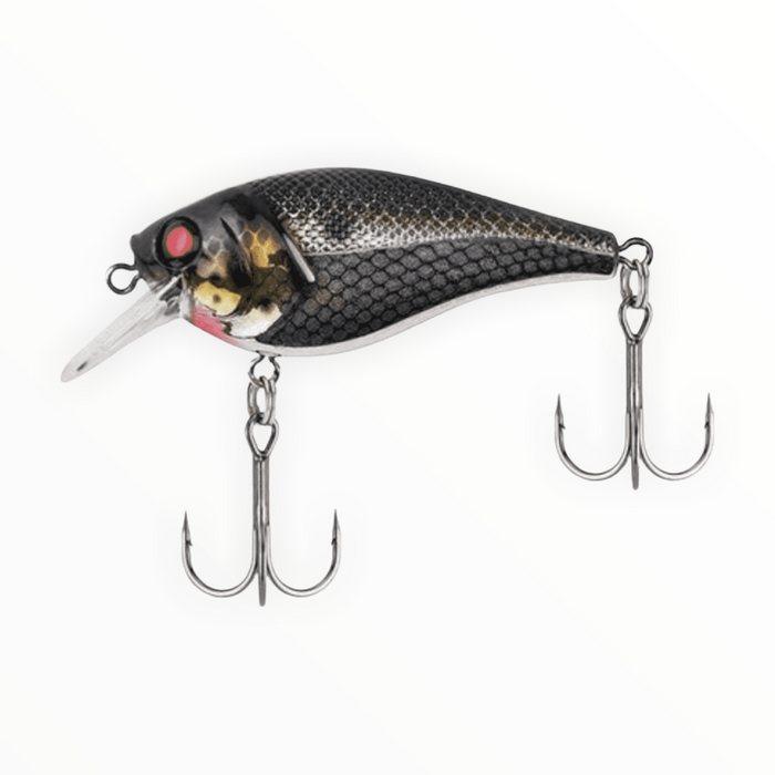 berkley fish si Berkley Squarebull