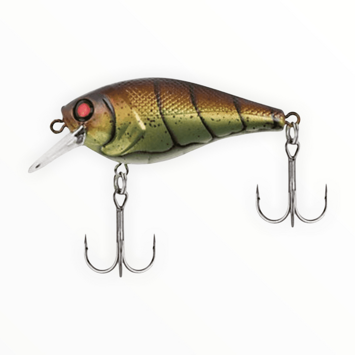 berkley fishing crib Berkley SquareBull