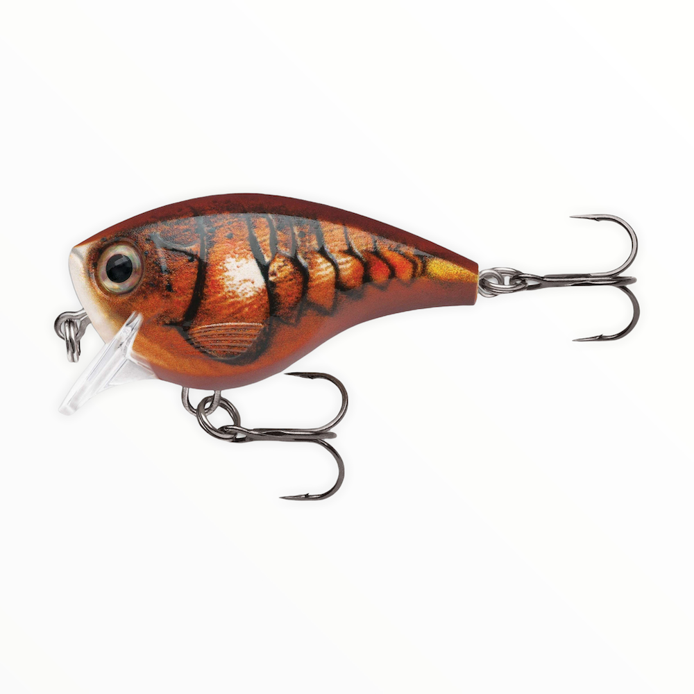 Rapala BX Brat | Crankbaits — Lake Pro Tackle