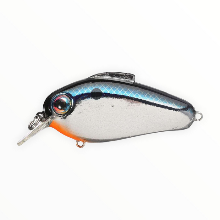 echo fishing lures Bill Lewis Echo 1.75