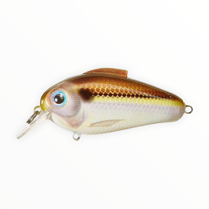 billie eilish fishing lure Bill Lewis Echo 1.75