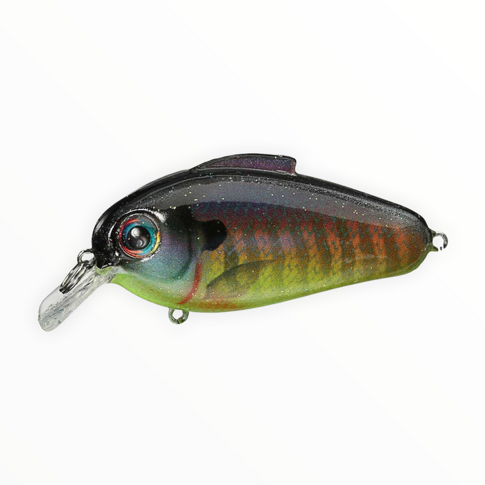 Bill Lewis Echo 1.75