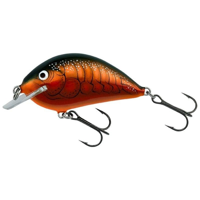 bentley fishing lures Bagley Pro Sunny B 07