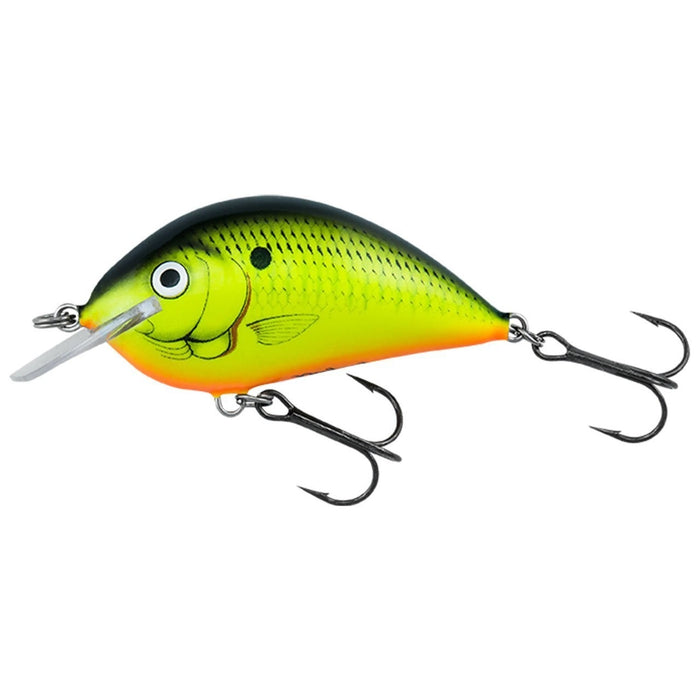 Bagley Pro Sunny B 07 Bagley Pro Sunny B 07