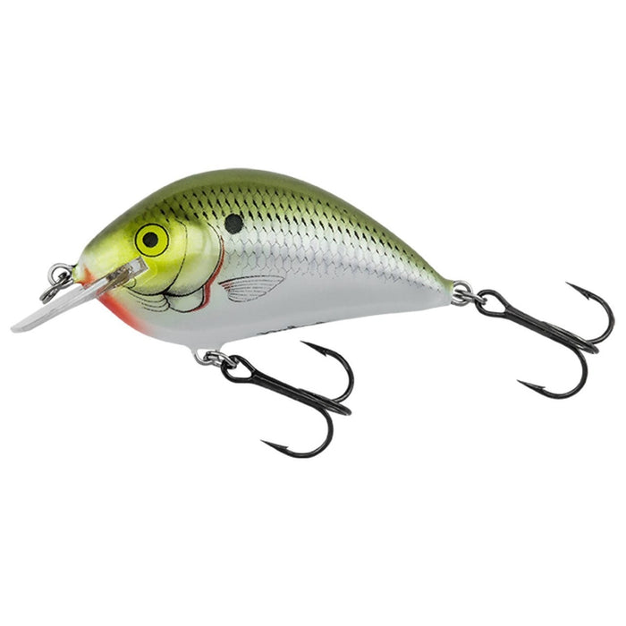 Bagley Pro Sunny B Realistic Shad; 3 in