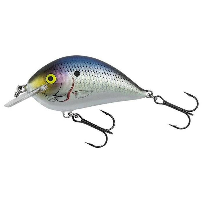 Bagley Pro Sunny B 07 | Crankbaits Lake Pro Tackle Bagley Pro Sunny B 07 | Crankbaits Lake Pro Tackle