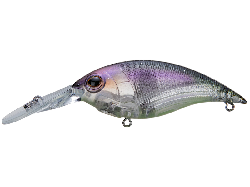 berkley fishing cast for cash Berkley Money Badger