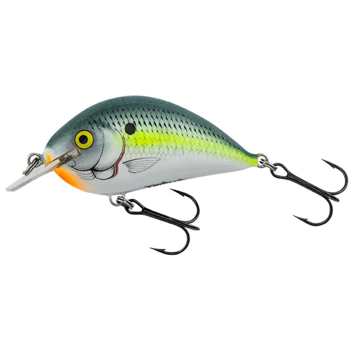 binsky fishing lures Bagley Pro Sunny B Realistic Shad; 3 in