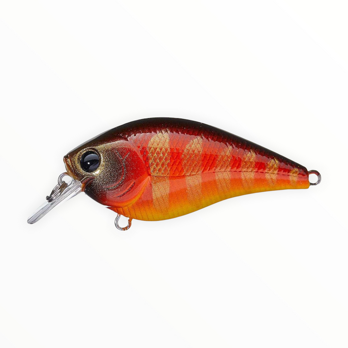 Lucky Craft LC 1.5 DDRT - Negozio Di Pesca Online Bass Store - Foto 11