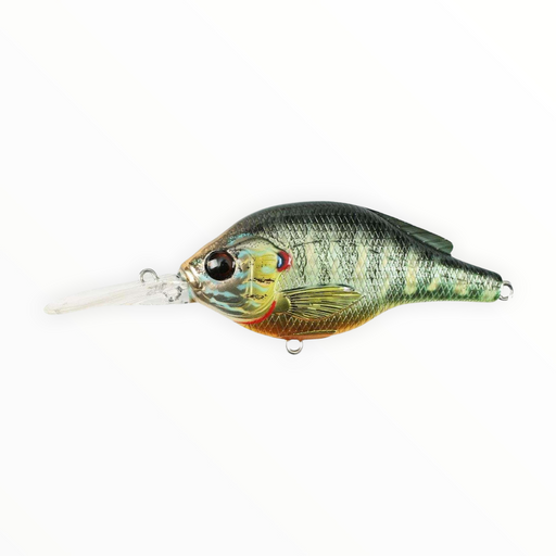 Live Target Pumpkinseed- Metallic Gloss