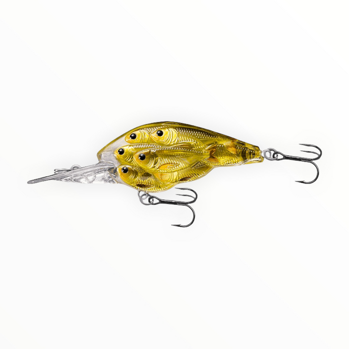 Live Target Yearling Baitball- Gold Black