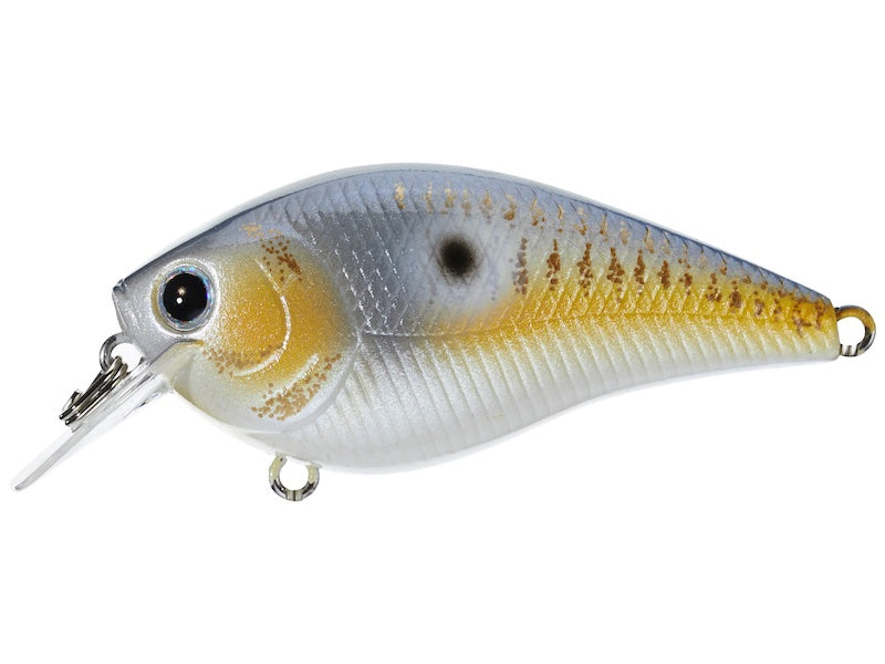 Lucky Craft LC DRS- Gold Threadfin Shad