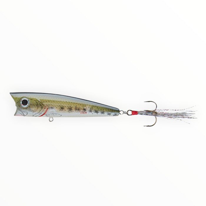 Rebel Lures P5048 Lures Teeny Pop R Fishing Lure (2-Inch, Tennessee Shad),  Topwater Lures -  Canada