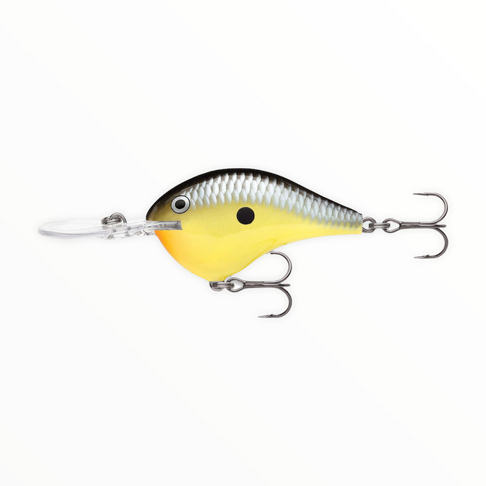Rapala DT (Dives-To) Series Caribbean Shad