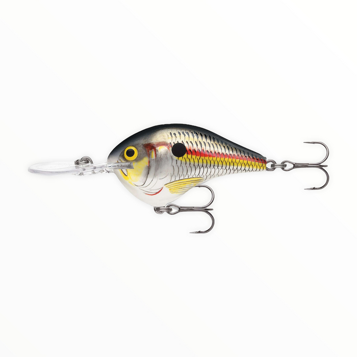 bass fishing rapala lures Rapala DT 8 Lemon Shad