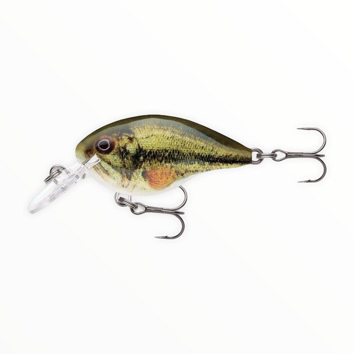 Rapala DT (Dives-To) Series Crankbaits – Fishing Online