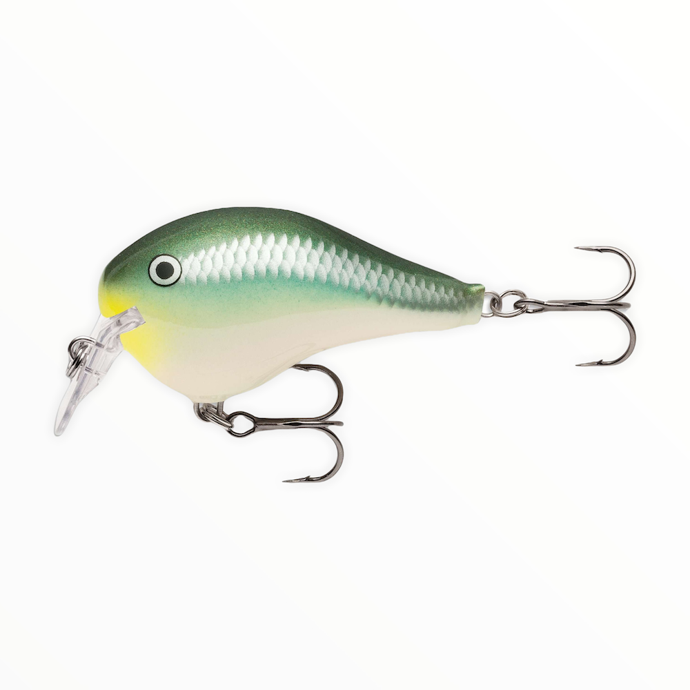 T3 Pro - Rapala - Dives-To (DT) – FishMore Company