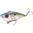 Strike King Red Eyed Shad Tungsten 2 Tap- Chrome Sexy Shad