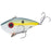 Strike King Red Eyed Shad Tungsten 2 Tap- Chartreuse Sexy Shad