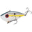 Strike King Red Eyed Shad Tungsten 2 Tap- Sexy Shad