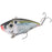 Strike King Red Eyed Shad Tungsten 2 Tap- Natural Shad
