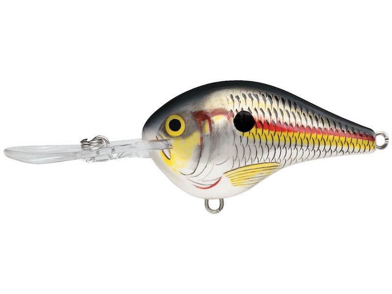 Rapala Dives-To (DT Series)- Shad