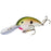 SK-PRO-4-TENNESSEE-SHAD
