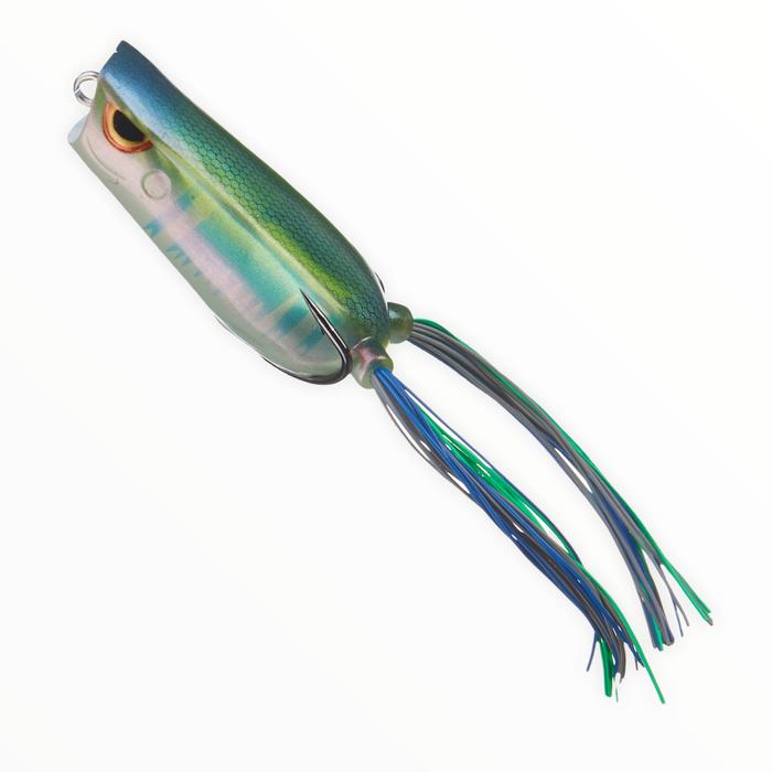 SPRO Bronzeye Pop 40 Nasty Shad Fishing Lure - Topwater Bass Bait With Premium Design (Model: SBEPP40NSHD)