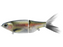 SPRO KGB Chad Shad 180- Ghost Trout