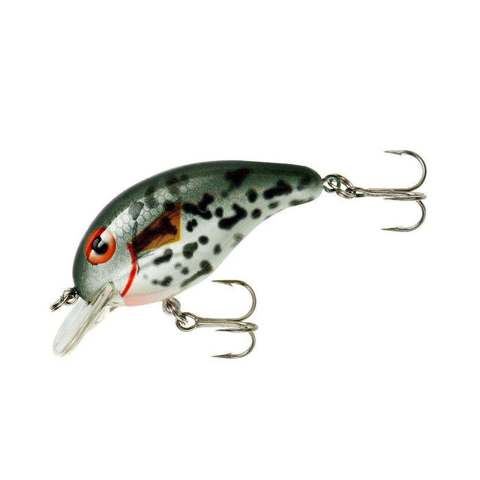 BANDIT LURES Crankbait Series 100 200 & 300 Bass Fishing Lures, Pearl Black  Back, Series 100 (Dives to 5') (BDT103), Topwater Lures -  Canada