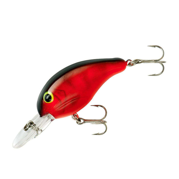  BANDIT LURES Series 200 Crankbait Bass Fishing Lures, Fishing  Accessories, Dives to 8-feet Deep, 2', 1/4 oz, Mistake, (BDT258) : Fishing  Diving Lures : Sports & Outdoors
