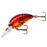 Bomber Model A B04 Apple Red Craw 