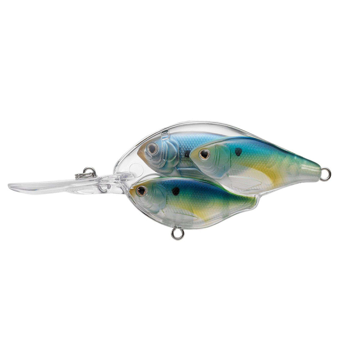 bait ball fishing lure Live Target Threadfin Shad Baitball