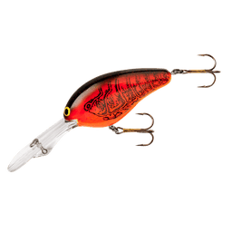  Bagley Sunny B Crankbait Sampler - 8 Topwater & Squarebill Fishing  Lures per Kit - Assorted Styles for Bass Fishing : Sports & Outdoors